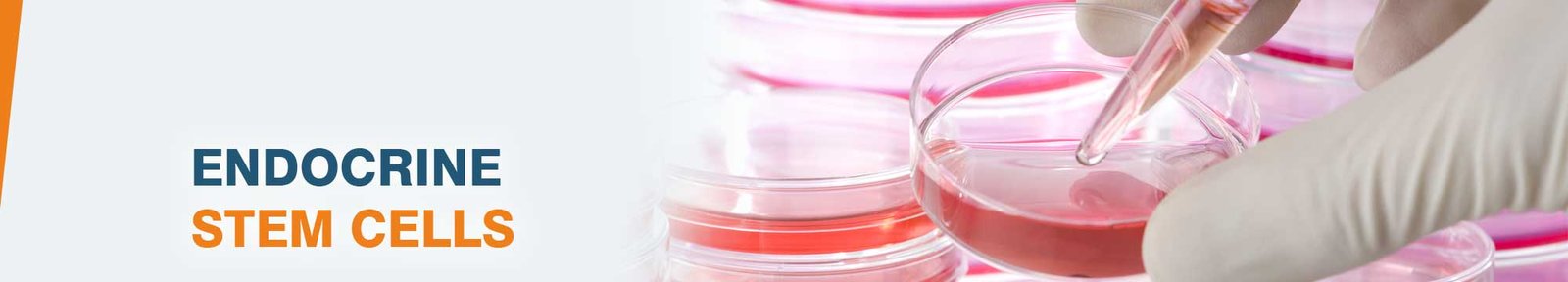 Endocrine Stem Cell Therapy Cost India