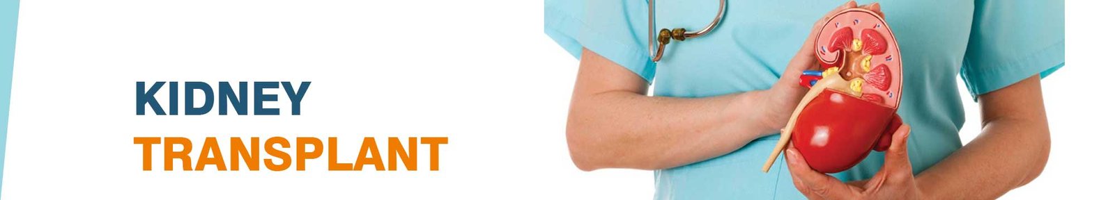  Kidney Transplantation in India