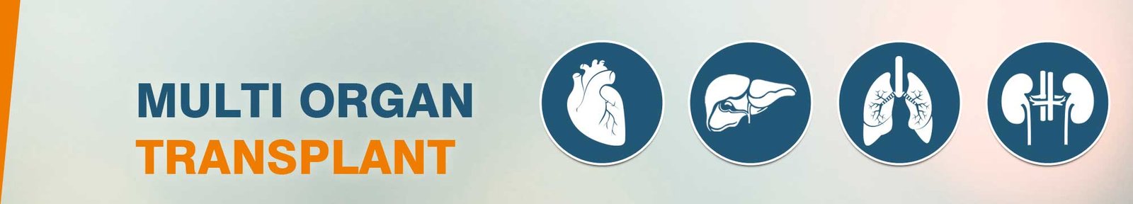 Multi organ transplantation in india